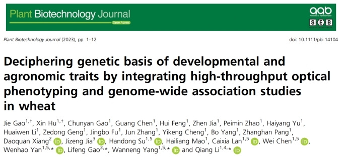 Plant Biotechnology Journal|高通量作物表型技術(shù)助力小麥生長和產(chǎn)量相關(guān)性狀遺傳解析